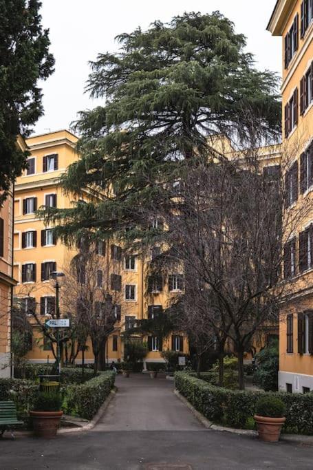 New Near Piazza Del Popolo Rom